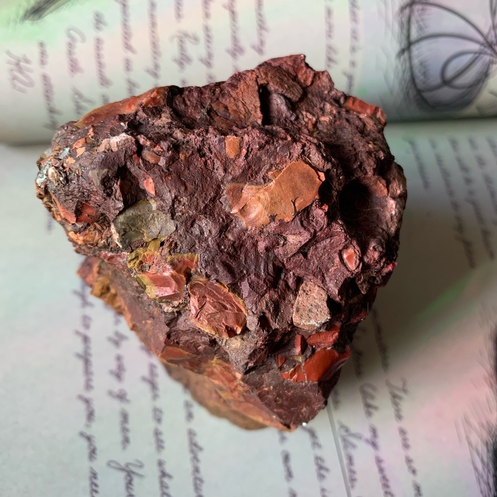 Beautiful piece of Petrified Redwood tree mineral stone display specimen